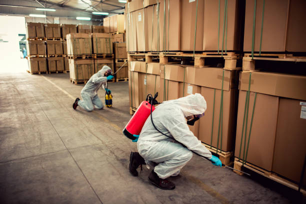 Best Rat Extermination Near Me  in Richfield, OH