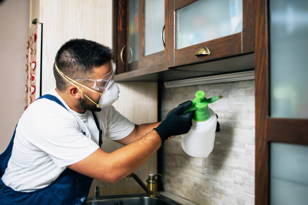 Best Emergency Pest Control  in Richfield, OH