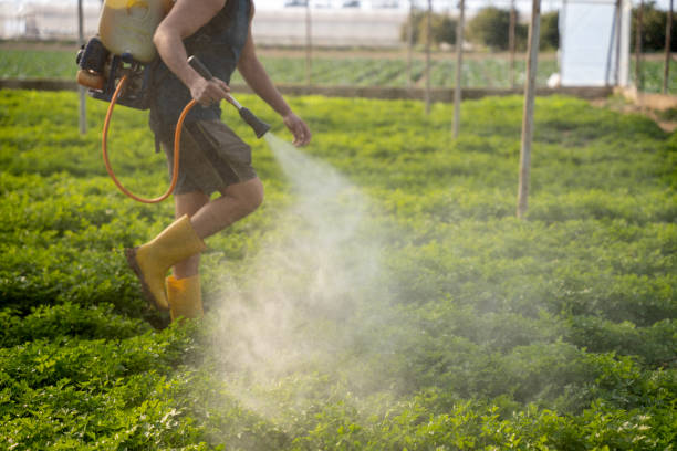 Best Wasp Removal Services  in Richfield, OH