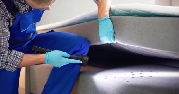 Best Exterminator Services  in Richfield, OH