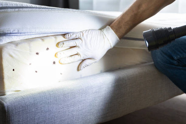 Best Bed Bug Extermination  in Richfield, OH