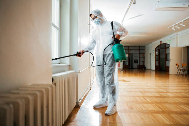 Flea Control Services in Richfield, OH