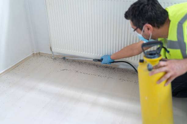 Best Best Pest Control Companies  in Richfield, OH