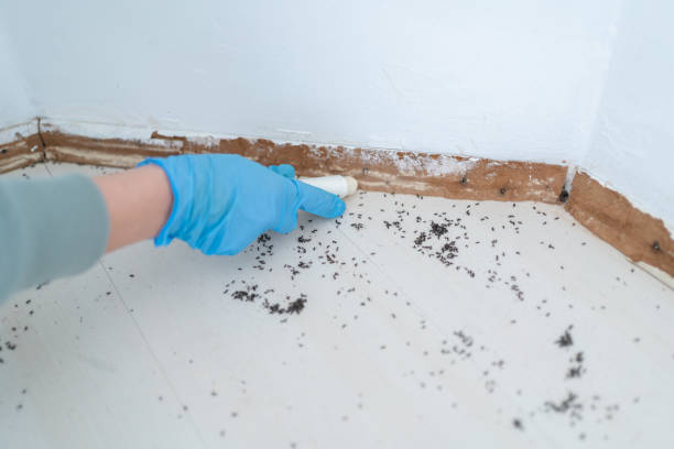 Best Mosquito Control Services  in Richfield, OH
