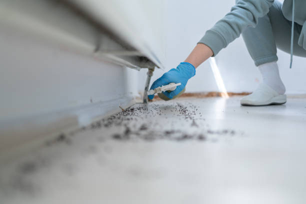Pest Control for Restaurants in Richfield, OH